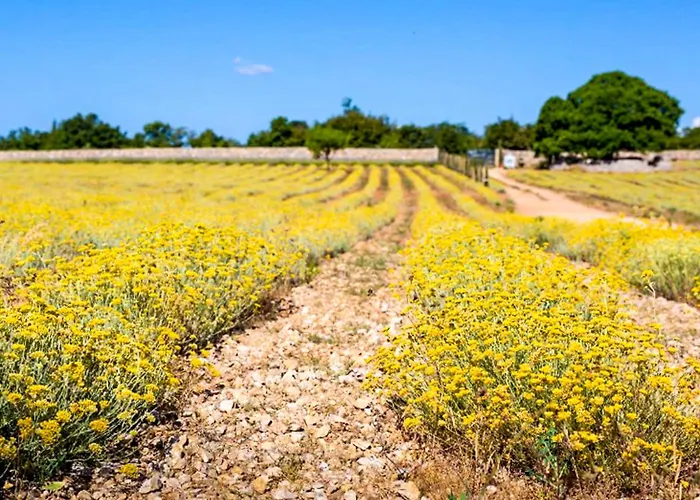 Marija-1 By Interhome * 奥米沙利