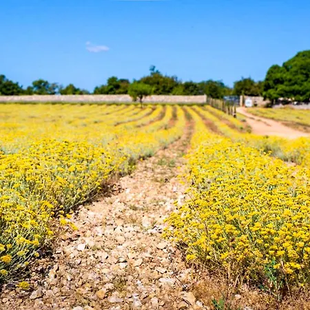 Marija-1 By Interhome * 오미살즈